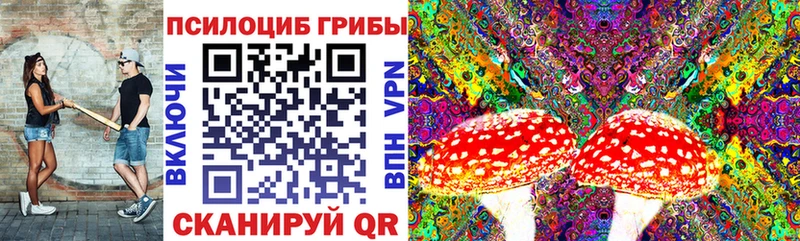 Галлюциногенные грибы прущие грибы где купить наркоту Козловка