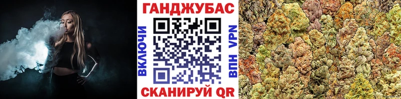 где можно купить наркотик  Козловка  гидра ссылка  Канабис сатива 